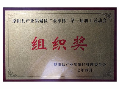 原阳县聚集区职工运动大会组织奖